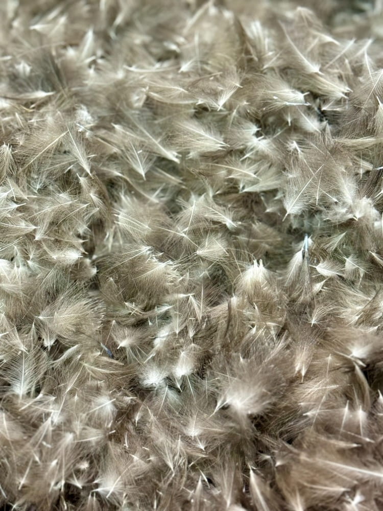 Unsorted CDC Feathers